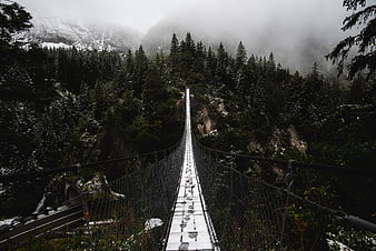 Snowy suspension bridge in misty mountain forest
