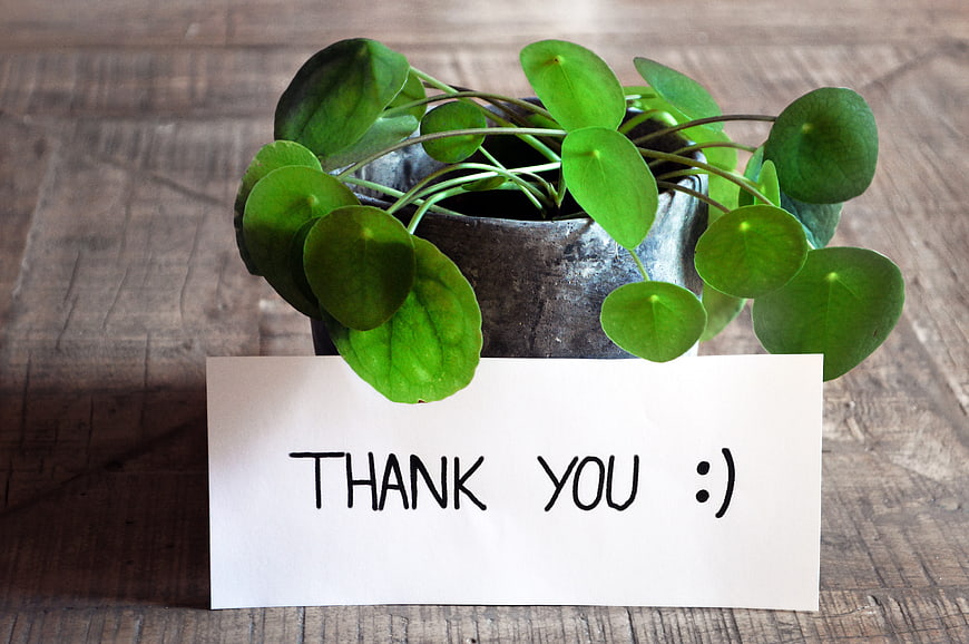 Handwritten thank you note with potted plant on rustic wooden table