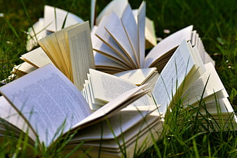 Open books with fanned pages lying in green grass