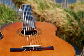 Close-up of acoustic guitar body and strings in grass