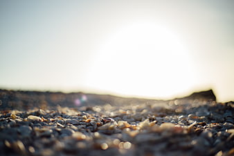 Close-up of pebbles on a beach with bright sunlight and bokeh background