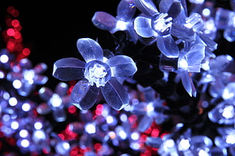 Illuminated Blue Flower Christmas Lights Against Dark Background