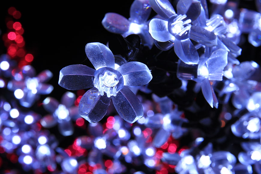 Illuminated Blue Flower Christmas Lights Against Dark Background