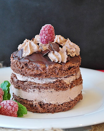 Chocolate Layer Cake with Raspberries and Mint