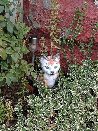 Whimsical ceramic cat garden ornament in green foliage