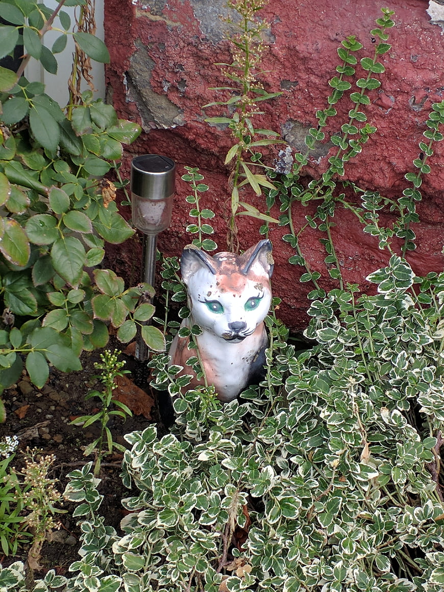 Whimsical ceramic cat garden ornament in green foliage