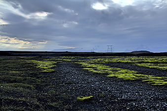 Vibrant Green Moss on Dark Volcanic Sand Landscape