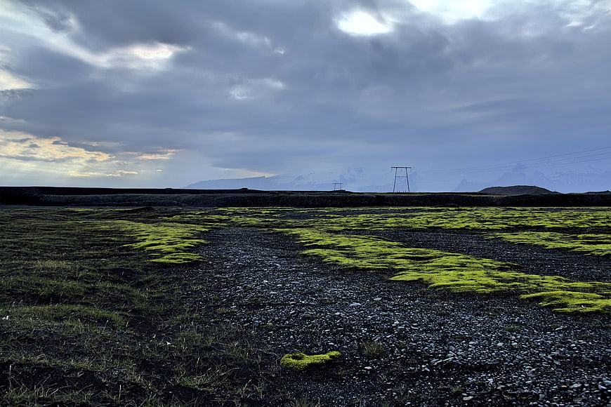 Vibrant Green Moss on Dark Volcanic Sand Landscape