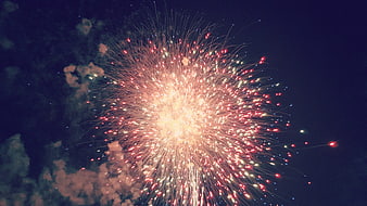 Golden Fireworks Bursting Against Dark Night Sky
