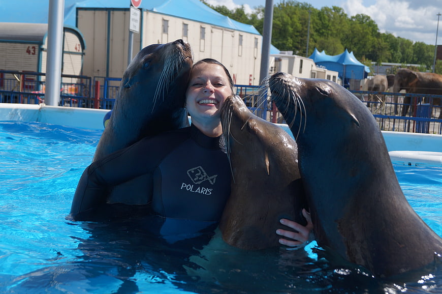 Woman in wetsuit hugging sea lions in pool