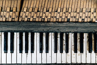 Vintage Piano Keys And Wooden Hammers Close Up