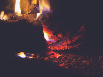 Close-up of burning logs and glowing embers in a fireplace