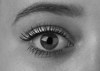 Close-up black and white portrait of a woman's eye with long eyelashes