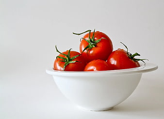 Fresh Red Tomatoes in White Bowl on White Background