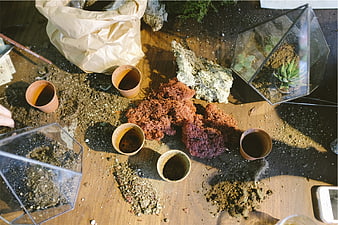 Top view of terrarium making supplies on wooden table