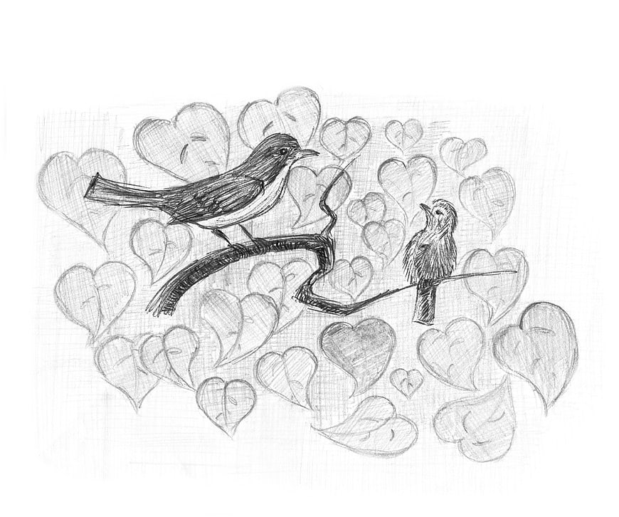 Pencil sketch of two birds on a branch with hearts