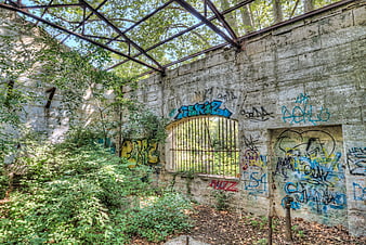 Abandoned concrete bunker with graffiti and overgrown vegetation