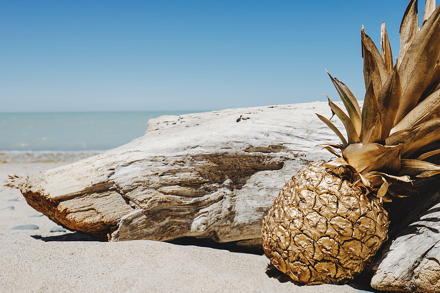Gold-painted pineapple on driftwood at sunny beach