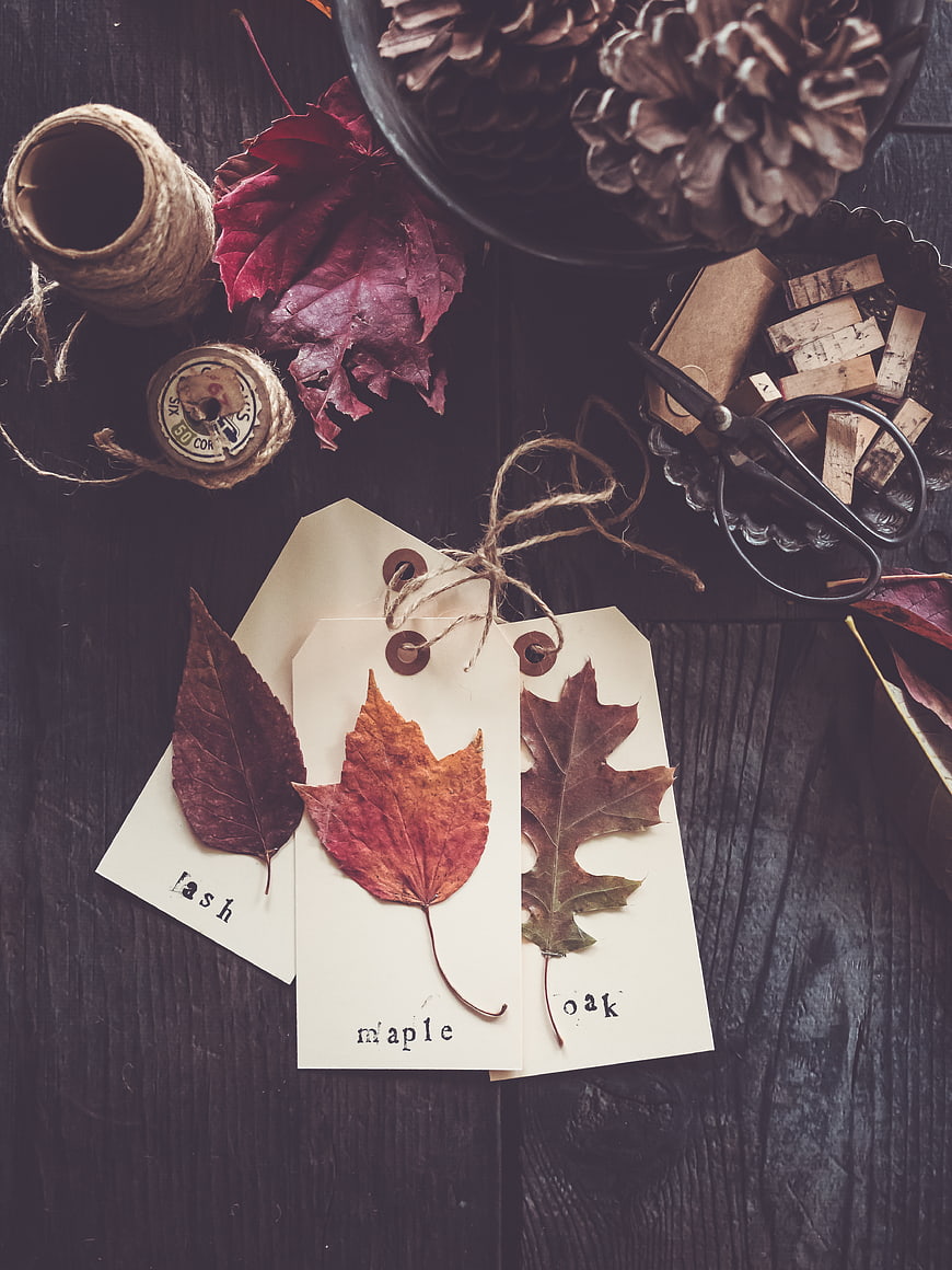 Autumn flat lay with pressed leaves, pine cones, and craft supplies
