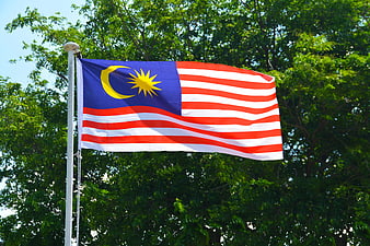 Malaysian National Flag Waving Against Green Tree Foliage