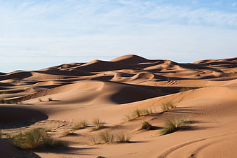 Golden Sand Dunes in Desert Landscape with Sparse Vegetation