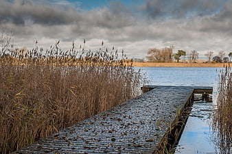Wooden Dock Extending into Lake with Reeds and Dramatic Clouds