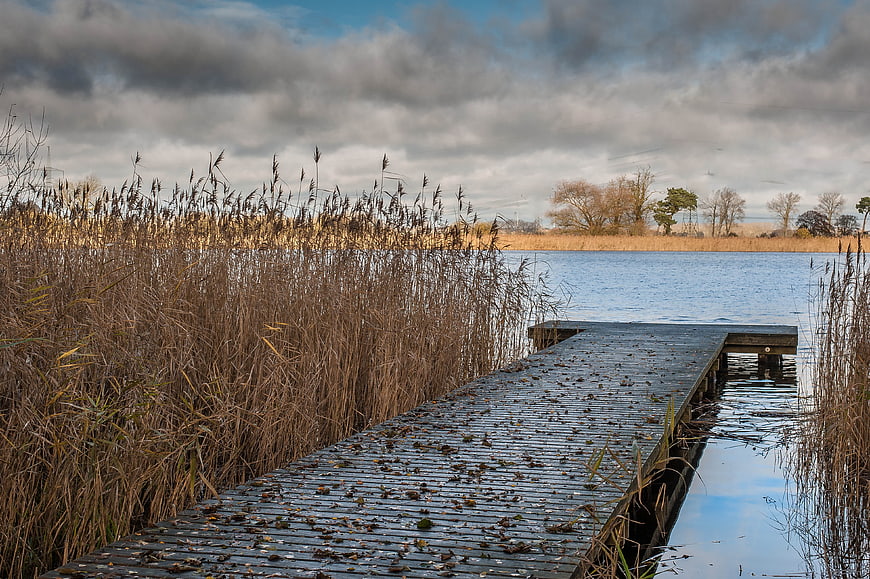 Wooden Dock Extending into Lake with Reeds and Dramatic Clouds
