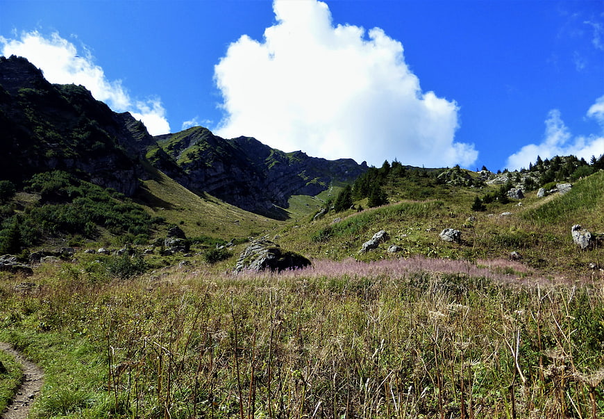Sunny Alpine Meadow with Mountain Ridge and Blue Sky
