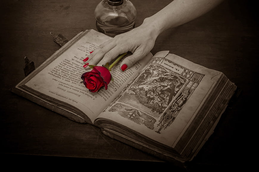 Hand holding red rose on antique book