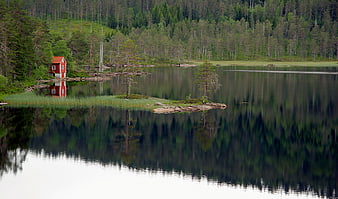 Red Cabin by Lake with Forest Reflection