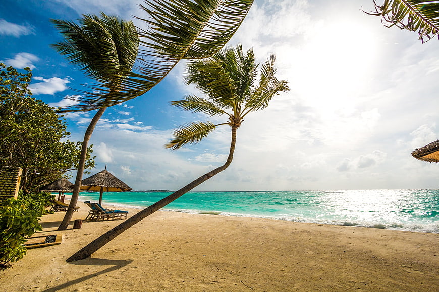 Tropical Beach Scene With Leaning Palm Trees And Turquoise Water