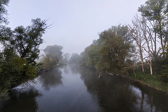 Misty River Landscape with Trees in Foggy Morning