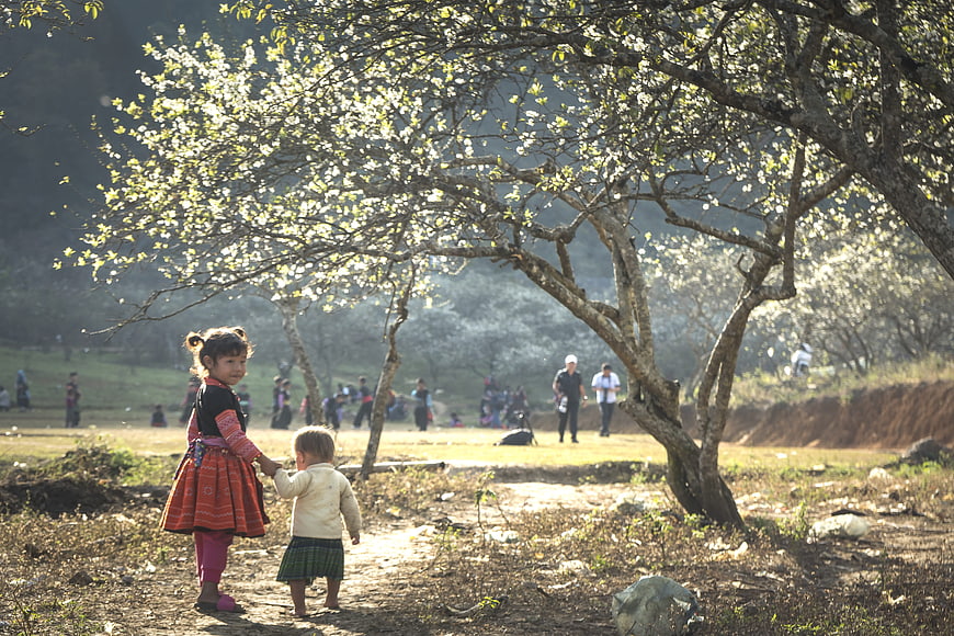 Two children holding hands under blooming trees in Vietnam