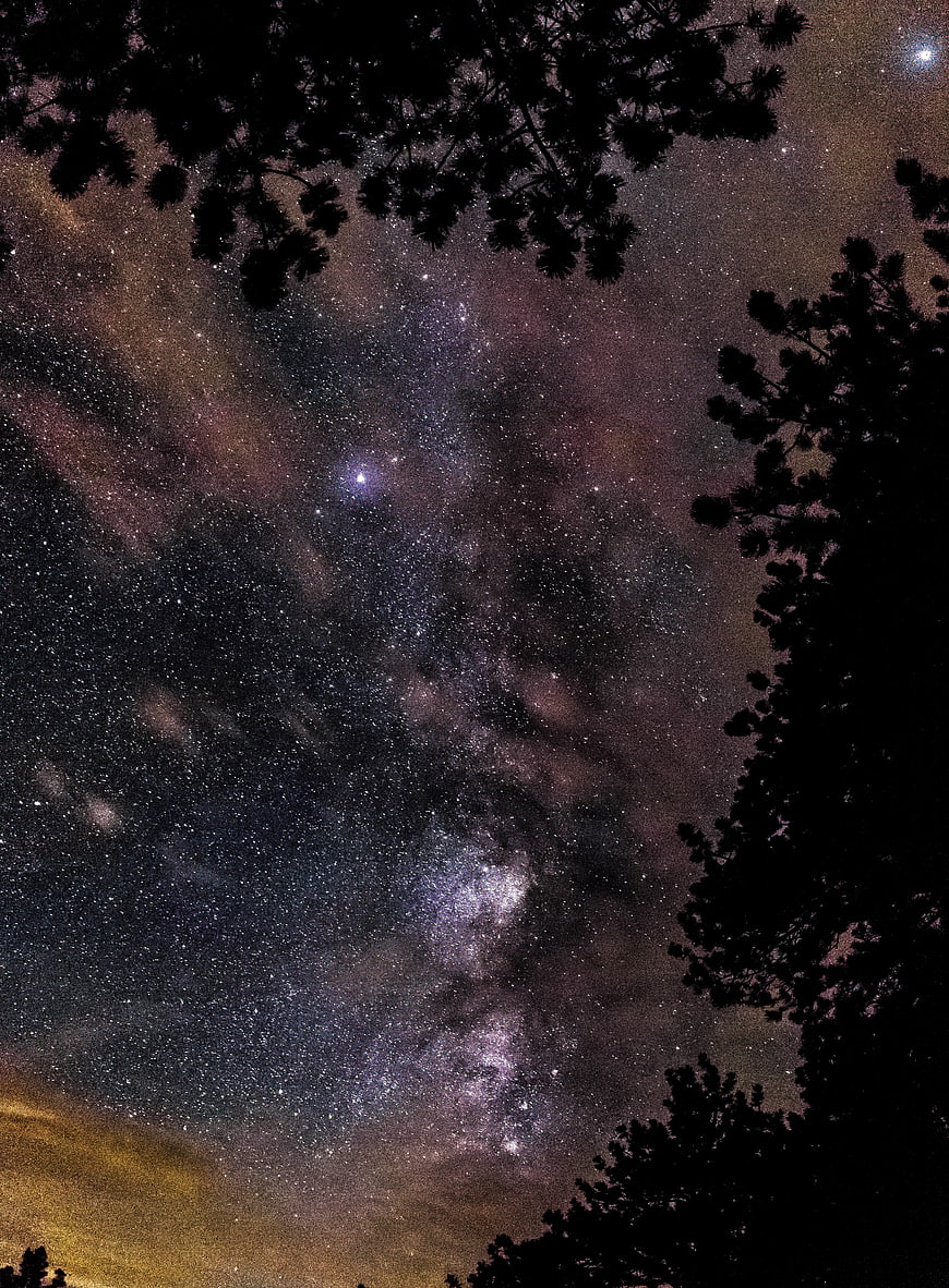 Milky Way Galaxy Night Sky with Pine Tree Silhouettes