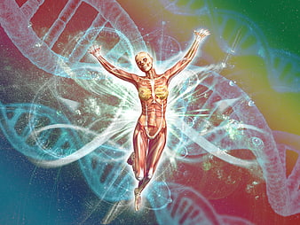 Anatomical Human Figure With DNA Helix Background