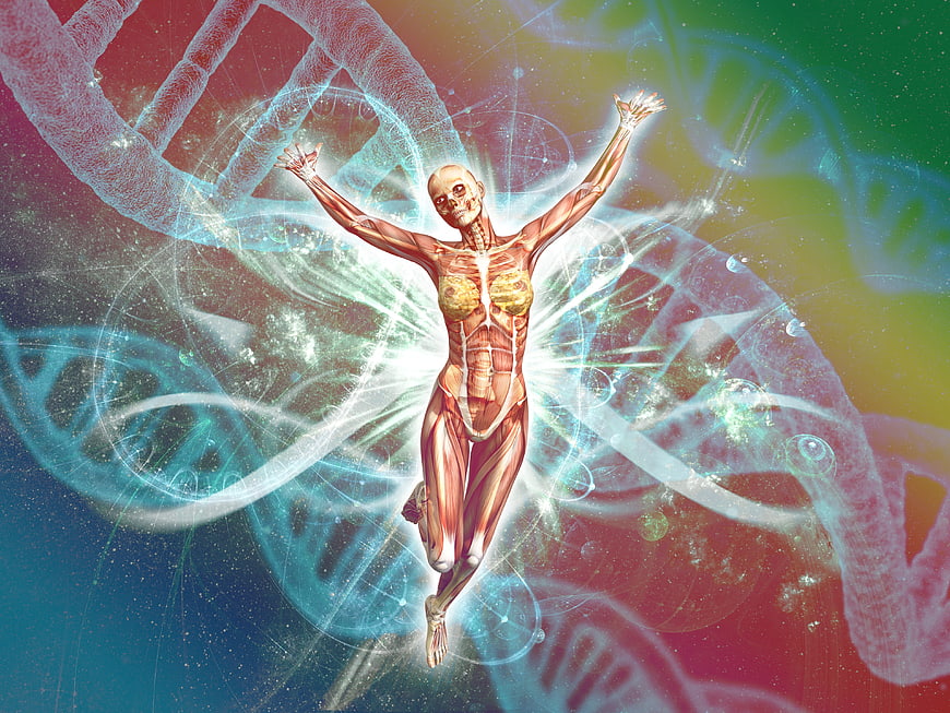 Anatomical Human Figure With DNA Helix Background