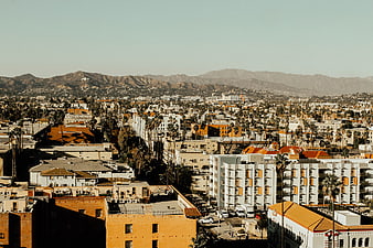 Sunlit Los Angeles Cityscape with Mountains and Palm Trees