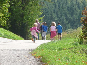 Group of children walking away on a sunny forest path