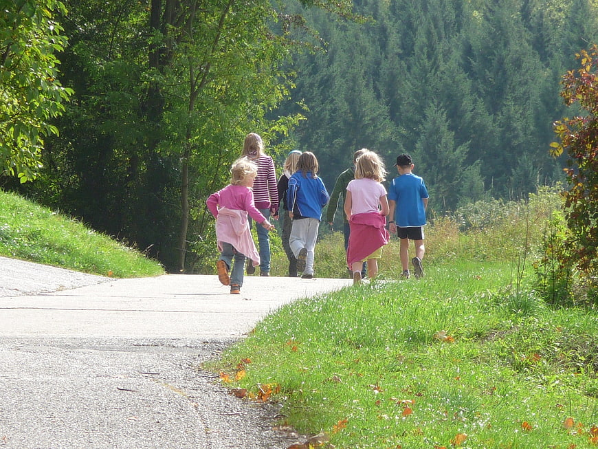 Group of children walking away on a sunny forest path
