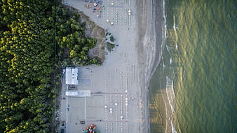 Aerial View of Sandy Beach with Forest and Ocean