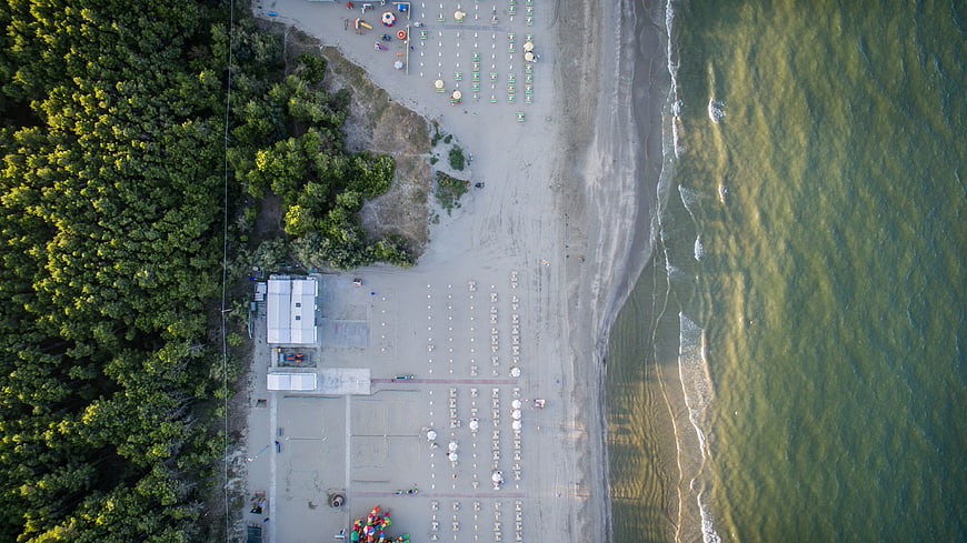 Aerial View of Sandy Beach with Forest and Ocean