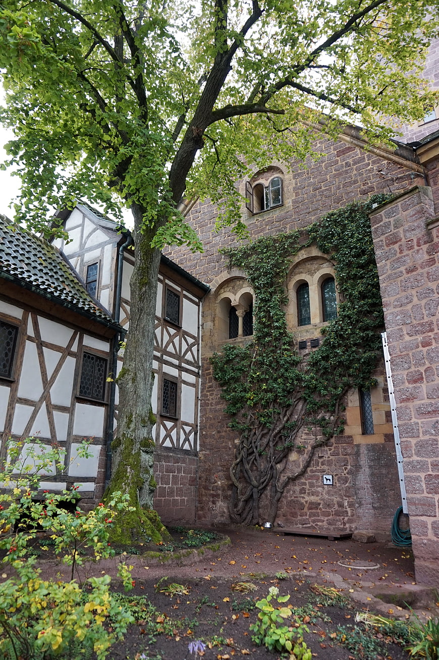 Historic Wartburg Castle Architecture with Ivy and Half-Timbered Building