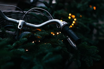 Bicycle Handlebars with Christmas Lights and Pine Branches