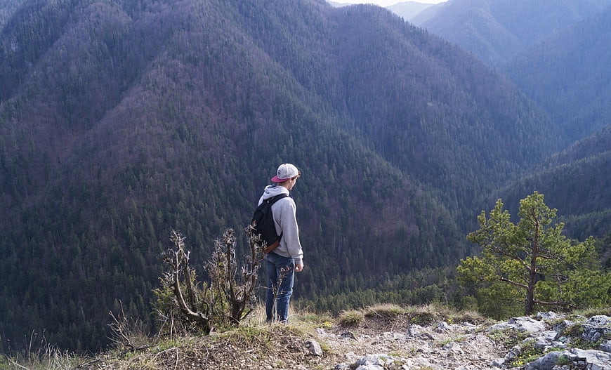 Hiker with Backpack Looking at Mountain Forest View