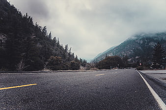 Empty Mountain Road in Foggy Forest Landscape