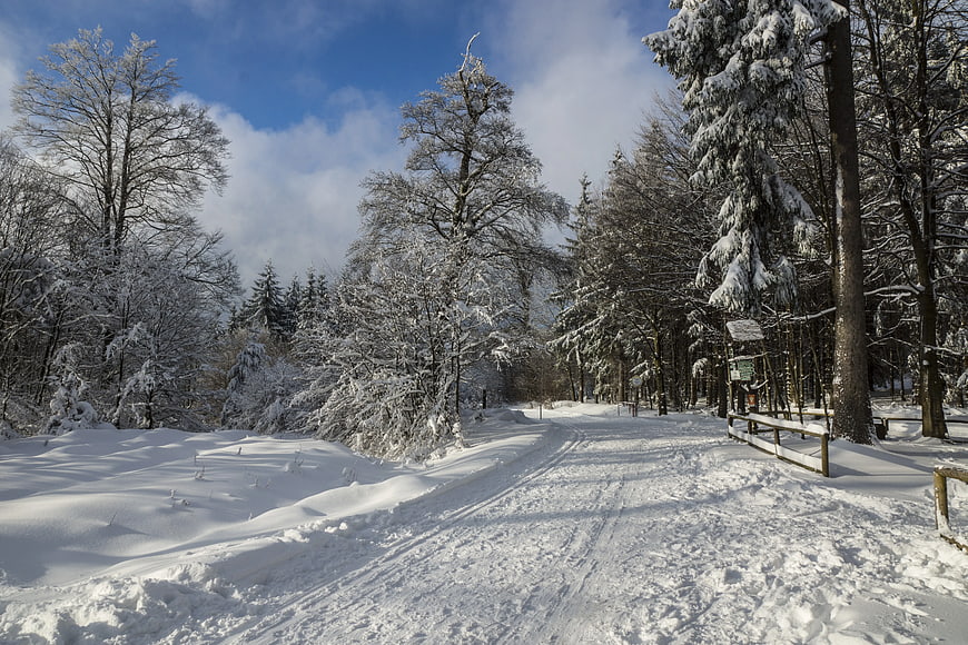 Snow-covered forest path with blue sky and winter trees