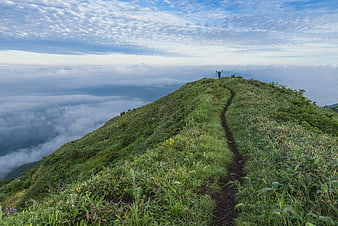 Hiker on grassy mountain ridge above sea of clouds
