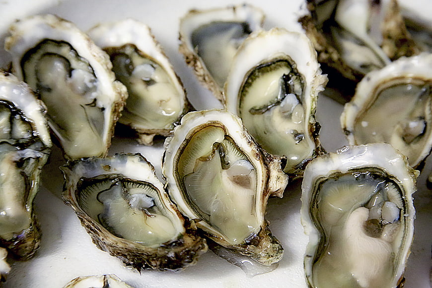 Fresh raw oysters on ice close-up