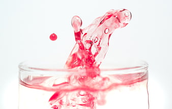 Red liquid splash in glass with white background