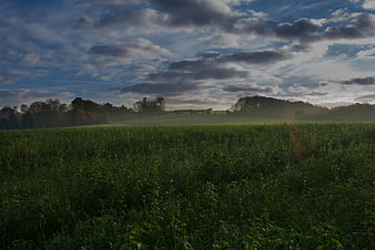 Misty Green Field Landscape with Dramatic Cloudy Sky